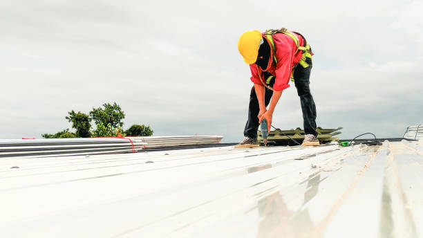 Best Green or Eco-Friendly Roofing Solutions  in Anderson, SC